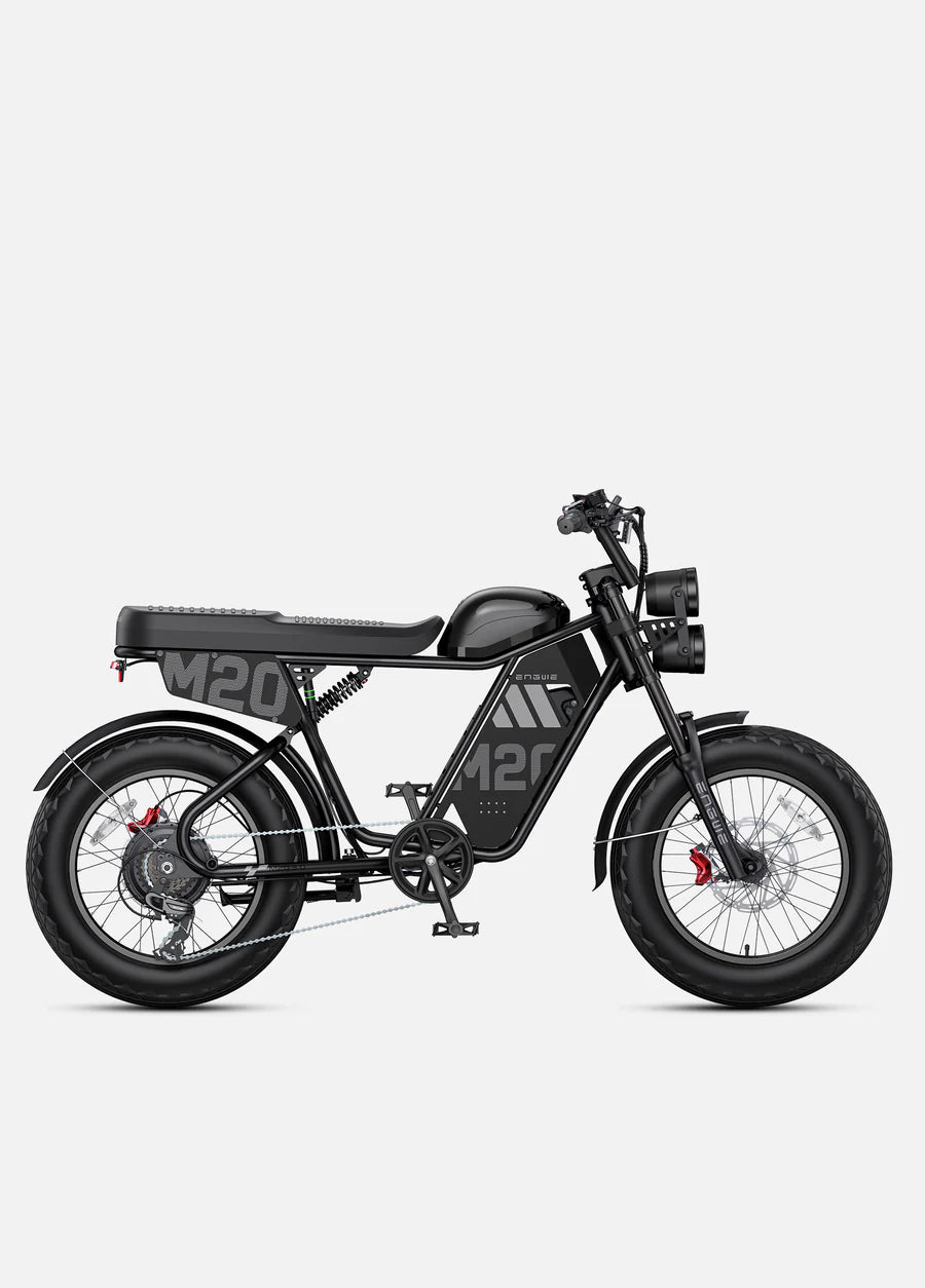 ENGWE M20 3.0 (Dual Batteries)