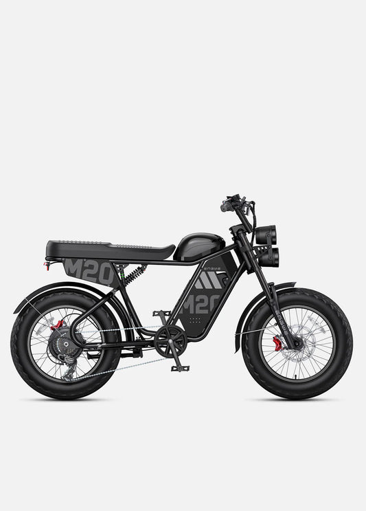 ENGWE M20 3.0 (Dual Batteries)
