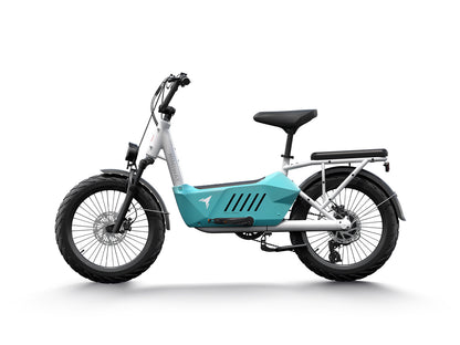 Himiway C3