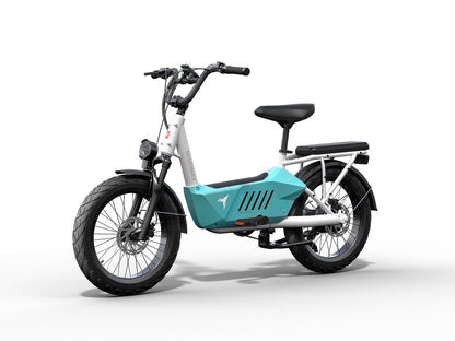 Himiway C3