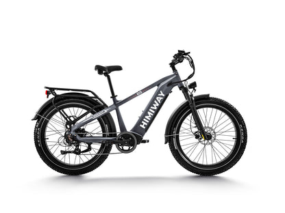 Himiway D5 Zebra