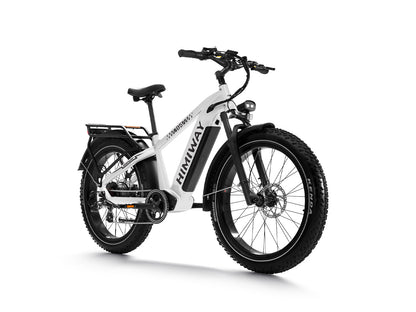 Himiway D5 Zebra