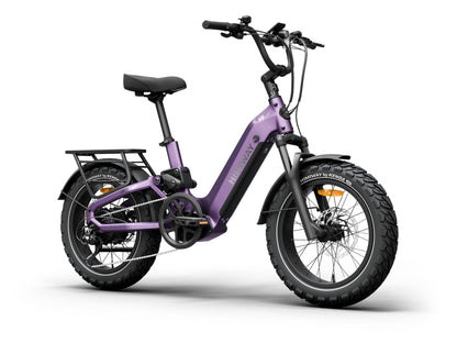 Himiway D5 2.0 20"